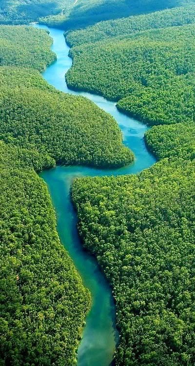 Amazonas (Leticia)
